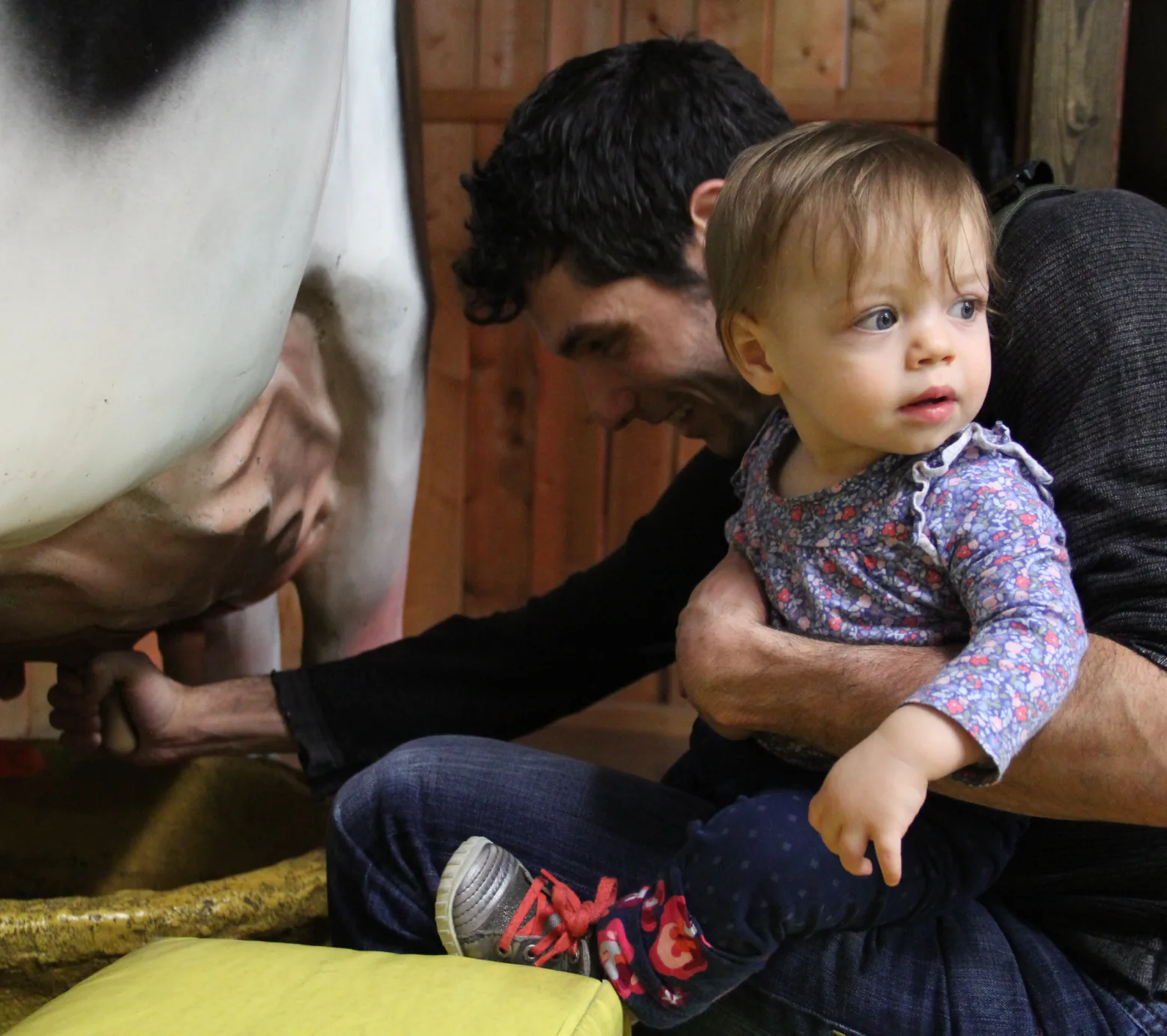 Un adulte tient un tout-petit dans ses bras en trayant une fausse vache grandeur nature
