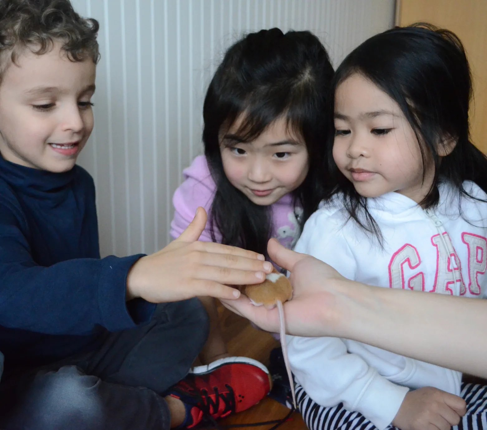 Trois enfants touchent doucement un petit animal à fourrure dans la main ouverte d'une adulte
