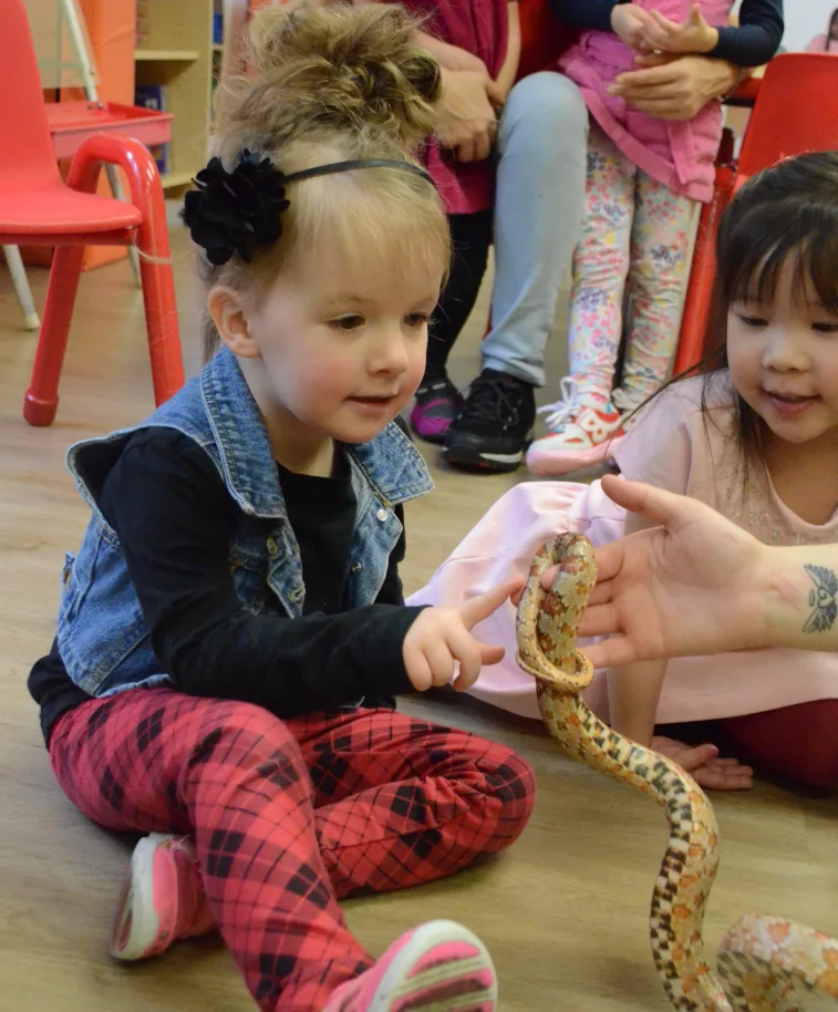 Fillette assise par terre qui touche un serpent tacheté présenté par l'animatrice