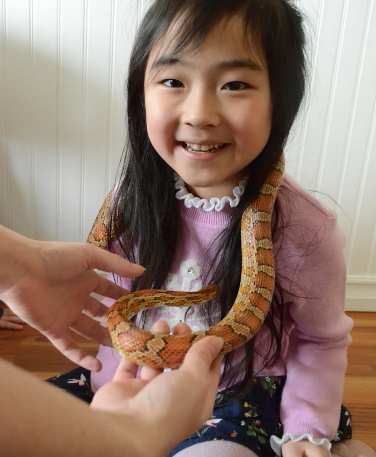 Fillette souriante avec un serpent orange autour des épaules, retenu par les mains d'un adulte