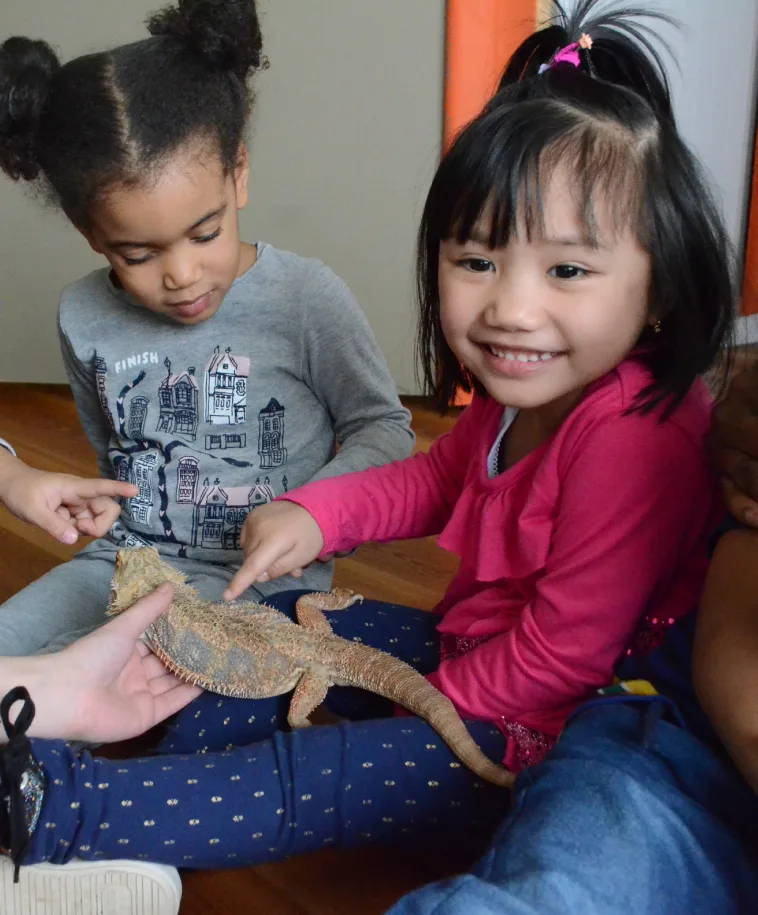 Deux fillettes touchent un dragon barbu déposé dans les mains d'un adulte