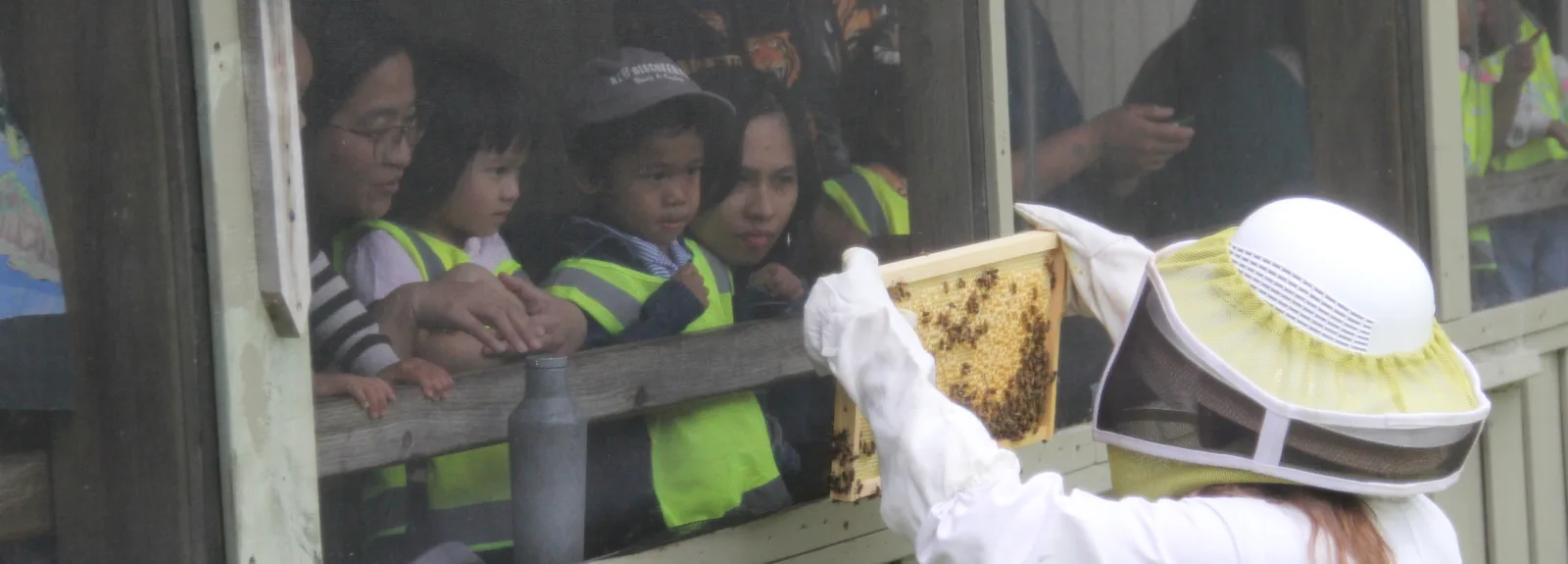 Des enfants en dossards observent par la fenêtre un cadre couvert d'abeilles présenté par l'apicultrice