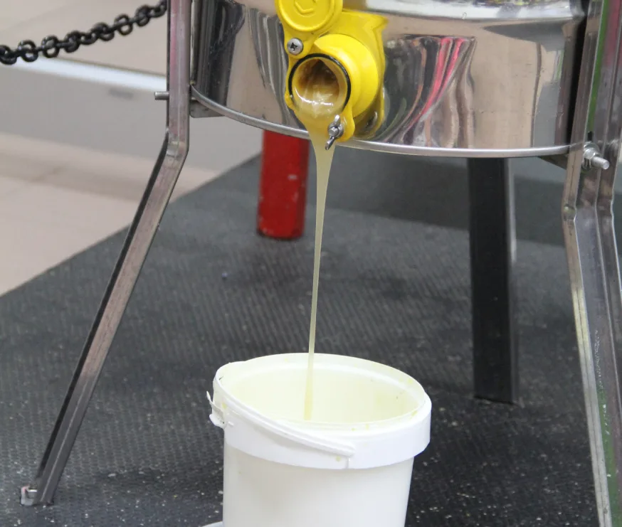 Du miel frais qui coule de l'extracteur en acier inoxydable dans une chaudière blanche